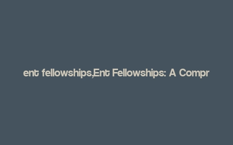 ent fellowships,Ent Fellowships: A Comprehensive Guide for Aspiring Artists and Creators