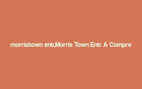 morristown ent,Morris Town Ent: A Comprehensive Overview