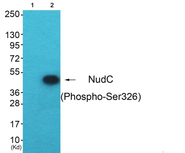 eth dna data storage paper,Eth DNA Data Storage: A Comprehensive Overview